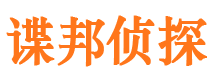 平武外遇调查取证